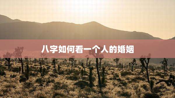 八字如何看一个人的婚姻
