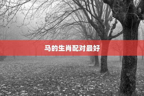 马的生肖配对最好
