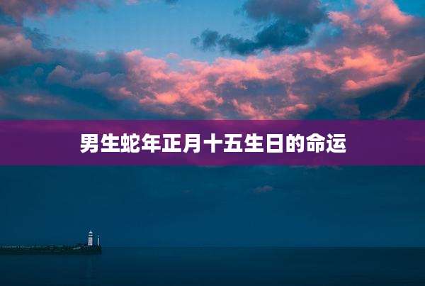男生蛇年正月十五生日的命运