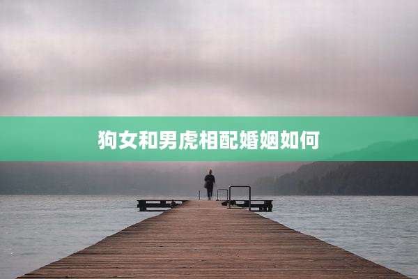 狗女和男虎相配婚姻如何