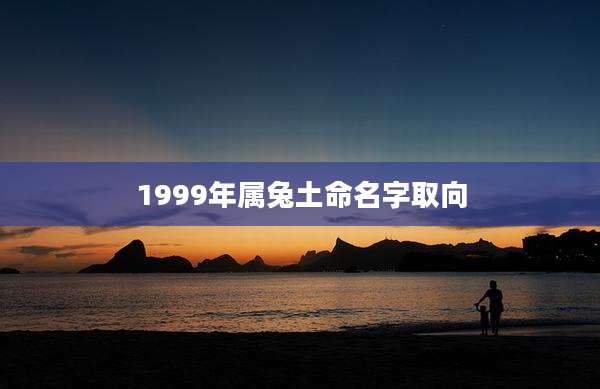 1999年属兔土命名字取向