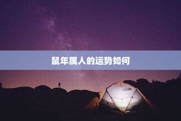 鼠年属人的运势如何