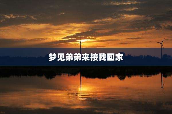 梦见弟弟来接我回家