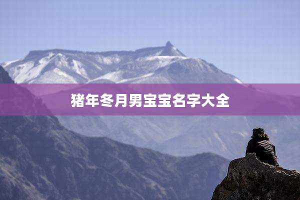 猪年冬月男宝宝名字大全