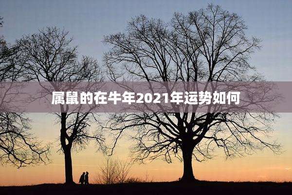属鼠的在牛年2021年运势如何