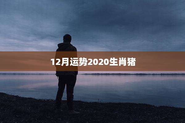 12月运势2020生肖猪