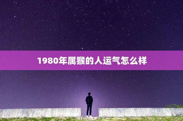 1980年属猴的人运气怎么样