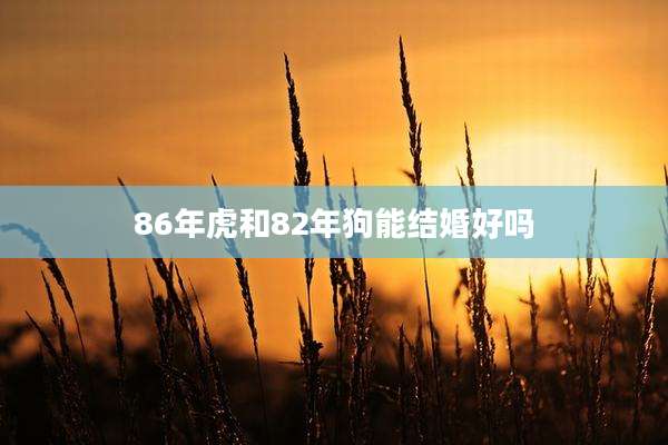 86年虎和82年狗能结婚好吗