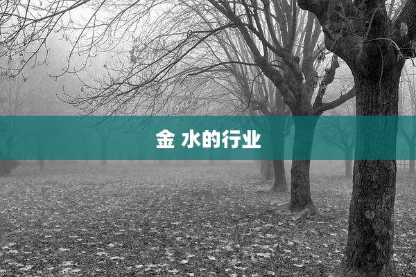 金 水的行业