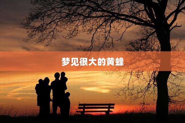 梦见很大的黄蜂