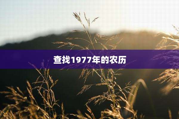 查找1977年的农历