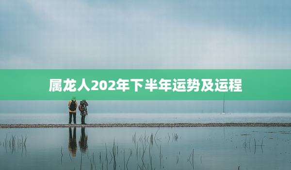 属龙人202年下半年运势及运程