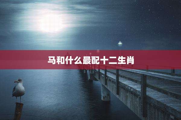 马和什么最配十二生肖