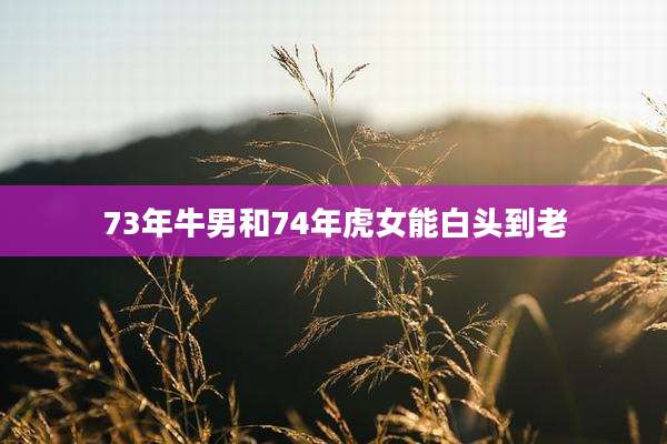 73年牛男和74年虎女能白头到老