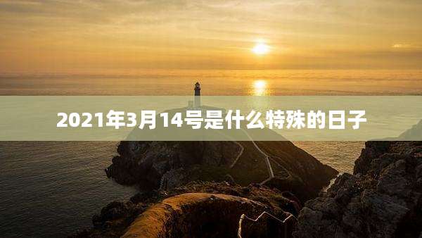 2021年3月14号是什么特殊的日子