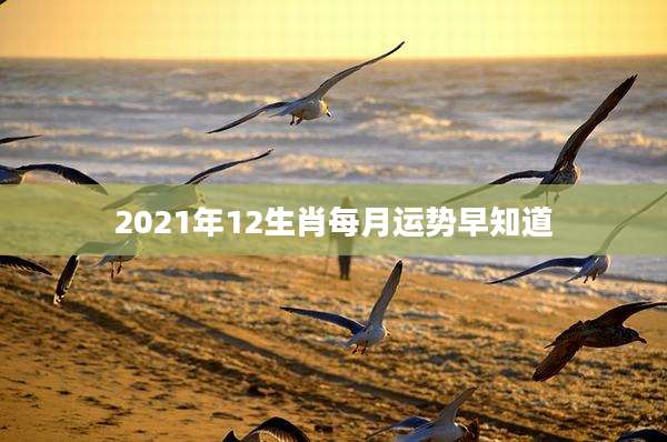 2021年12生肖每月运势早知道