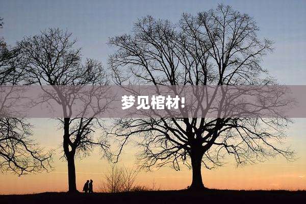 梦见棺材!