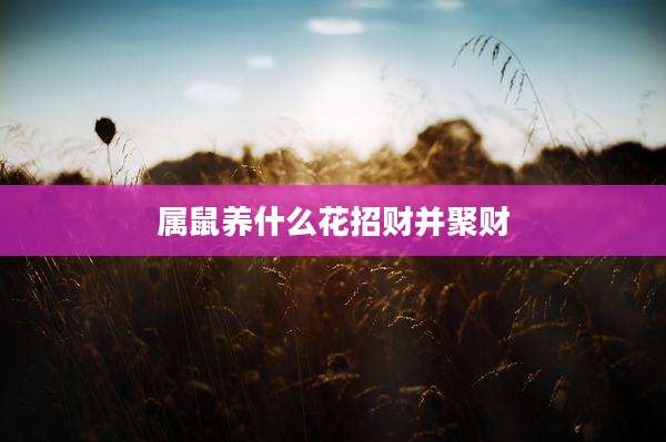 属鼠养什么花招财并聚财