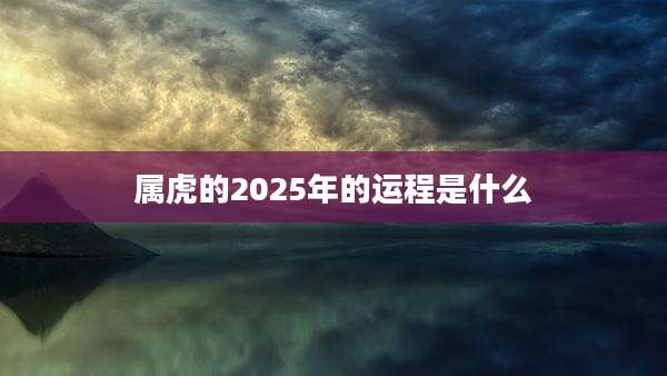 属虎的2025年的运程是什么