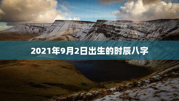 2021年9月2日出生的时辰八字