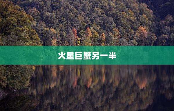 火星巨蟹另一半