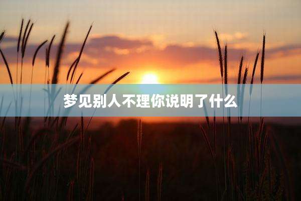 梦见别人不理你说明了什么