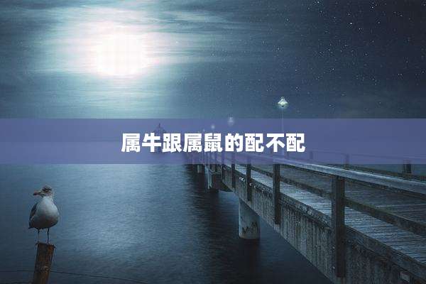 属牛跟属鼠的配不配