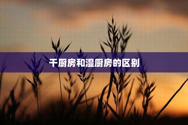 干厨房和湿厨房的区别