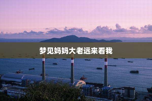 梦见妈妈大老远来看我