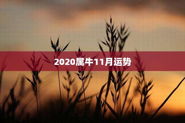 2020属牛11月运势