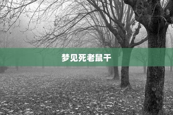 梦见死老鼠干