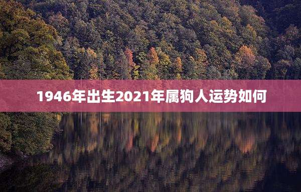 1946年出生2021年属狗人运势如何