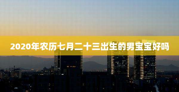 2020年农历七月二十三出生的男宝宝好吗