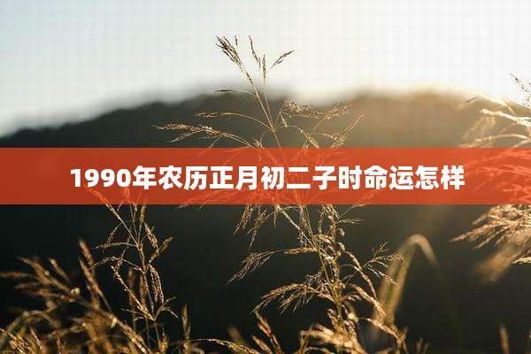 1990年农历正月初二子时命运怎样