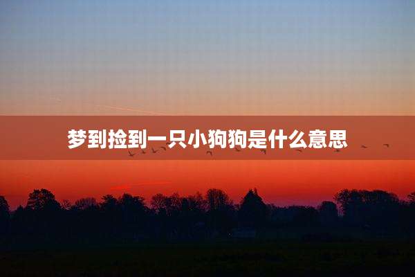 梦到捡到一只小狗狗是什么意思