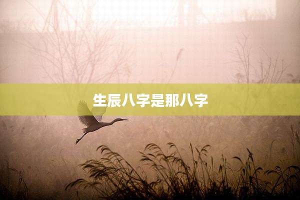生辰八字是那八字