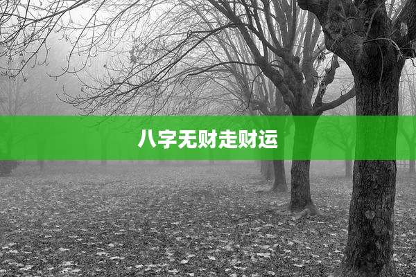 八字无财走财运