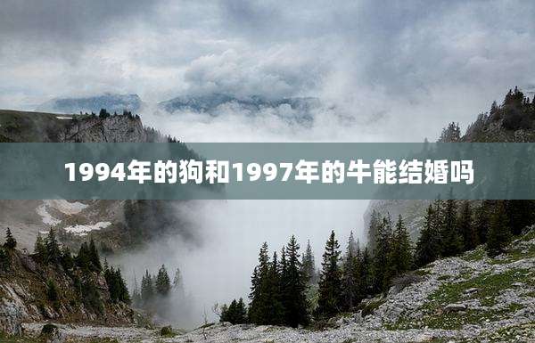 1994年的狗和1997年的牛能结婚吗