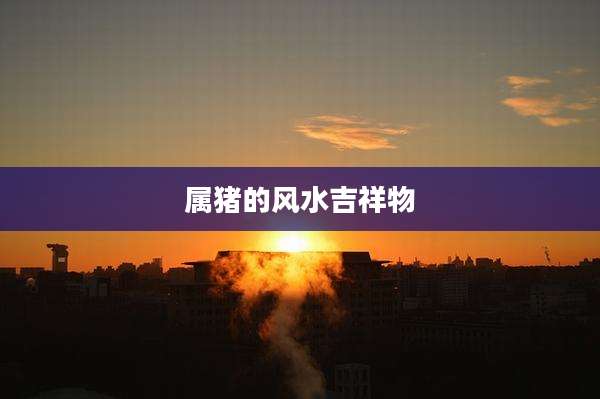 属猪的风水吉祥物