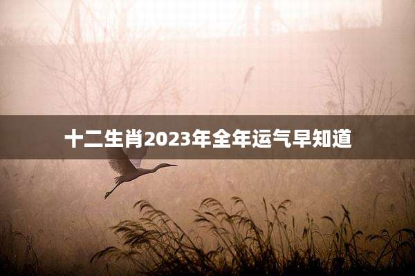 十二生肖2023年全年运气早知道
