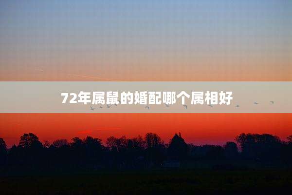 72年属鼠的婚配哪个属相好