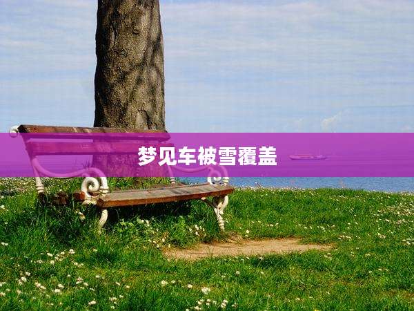 梦见车被雪覆盖