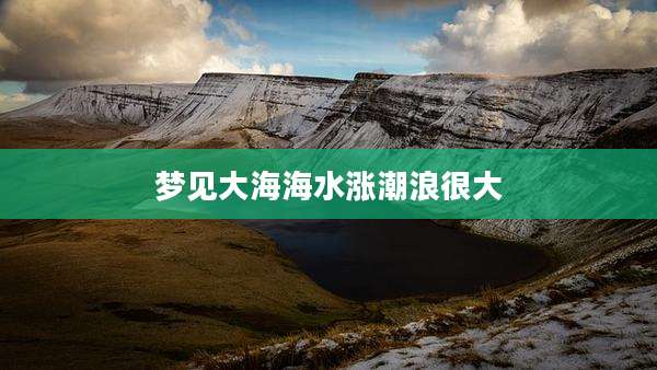梦见大海海水涨潮浪很大