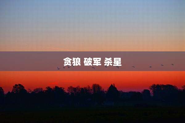 贪狼 破军 杀星