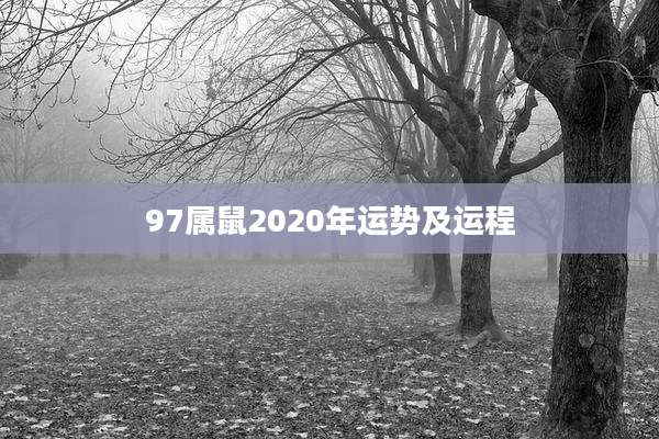 97属鼠2020年运势及运程