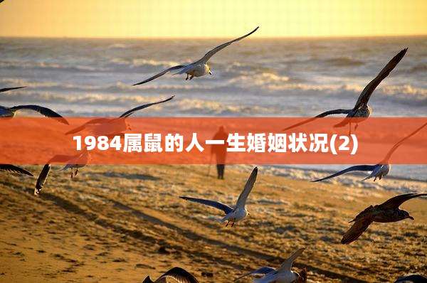 1984属鼠的人一生婚姻状况(2)
