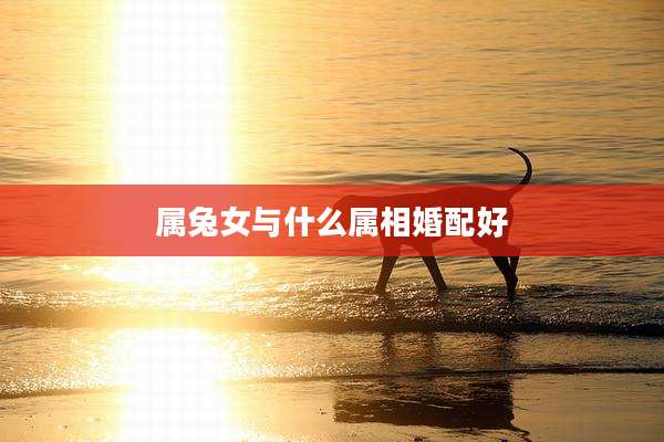 属兔女与什么属相婚配好