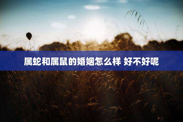 属蛇和属鼠的婚姻怎么样 好不好呢