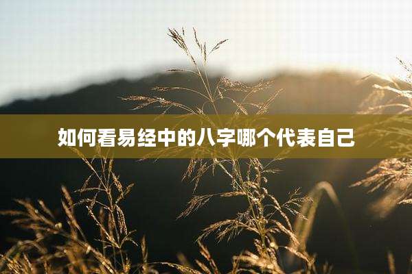 如何看易经中的八字哪个代表自己