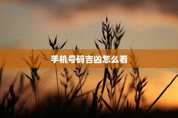 手机号码吉凶怎么看